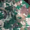 Dress top lace printed knitted fabric chiffon fabric craft fabric green maple leaf details Picture